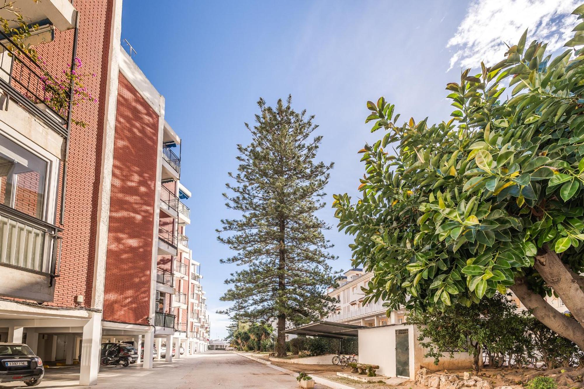 Apartamento Magico Javea Arenal Exteriör bild
